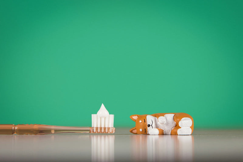 Nobs vs Bite Toothpaste: How Does LIVFRESH Compare?