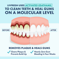 LIVFRESH Arctic Peppermint