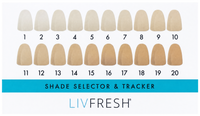 Tooth Shade Guide