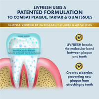 LIVFRESH Mild Peppermint Family Bundle