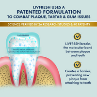 LivFresh Wintergreen Gel Toothpaste (Quiz)